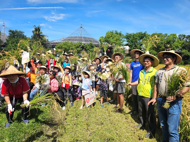 六堆黃金稻穗糯米大豐收，參與民眾手持稻穗大合影